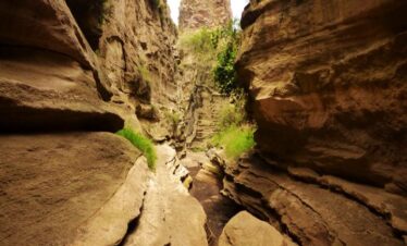 🌋 Hell’s Gate National Park – Day Trip Adventure