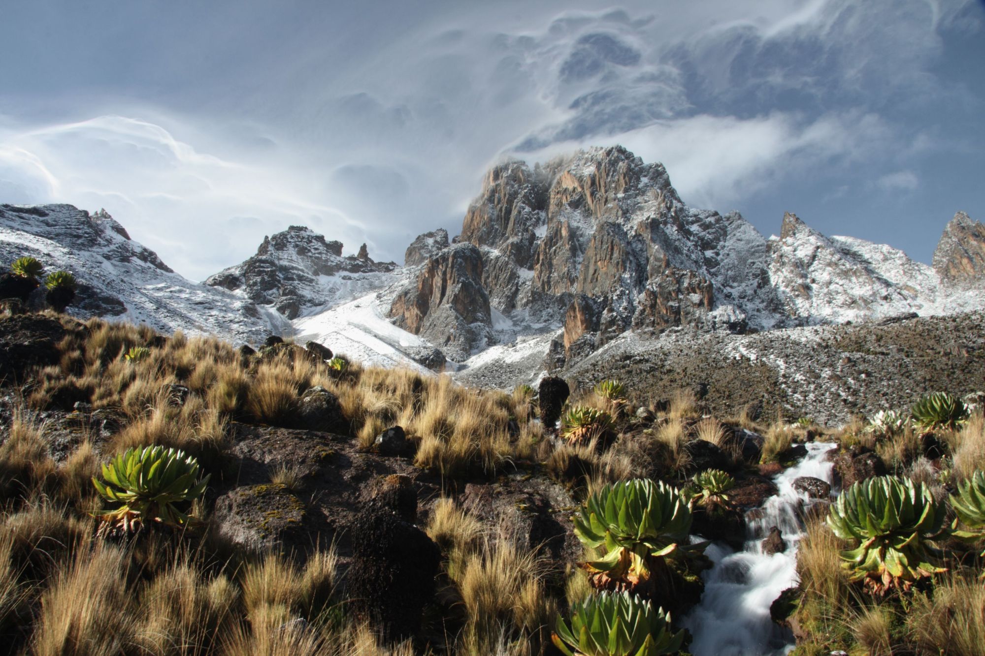 Mt Kenya